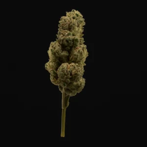 Purple Rose 12% CBG Blüten (3,5g) € 8,-/g – Premiumqualität