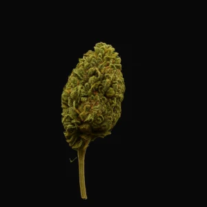 L.A. Amneszia 5% CBD Blüten (3,5g) € 8,-/g – Authentischer Geschmack, sanfte Wirkung