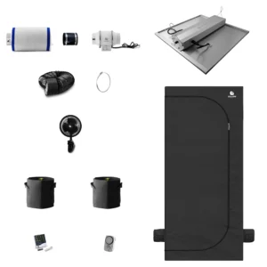 Caluma Set - 2 Plants Plus (80 x 80 cm, 240 W)